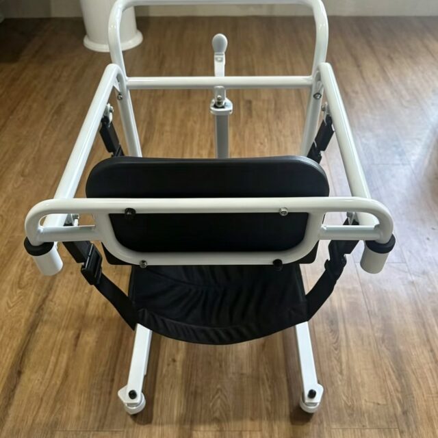 ML103C Electric Transfer Commode Chair