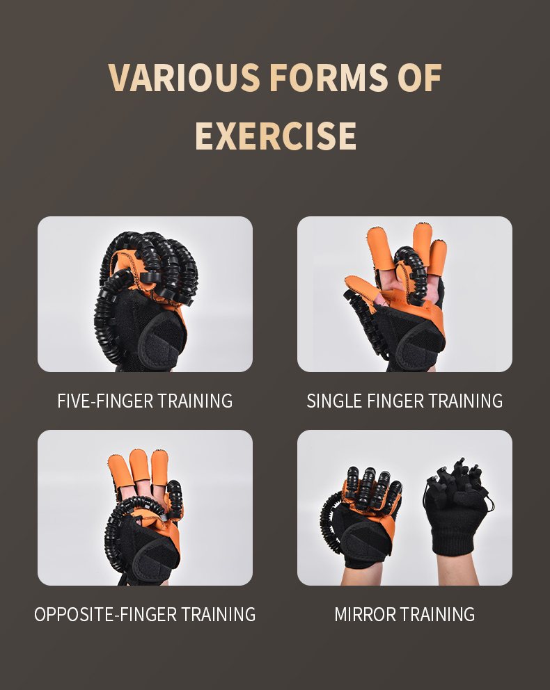 ML-113 Finger Training System product details